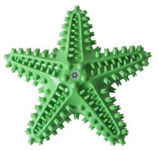 407823-dental-starfish-green1