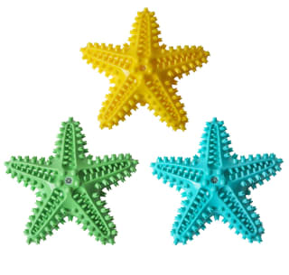 407823-dental-starfish-group1