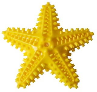 Ocean Adventures Dental Starfish - Yellow