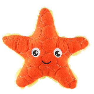 407828-tough-starfish-orange-2