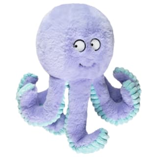 407843-large-crinkle-octopus