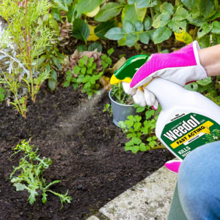 407878-weedol-rootkill-plus-weedkiller-1l