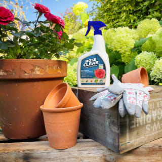 407895-rose-clear-3-in-1-action-1l-5