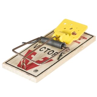 407897-deadfast-easy-set-mouse-trap-twin-pack