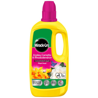 407914-miracle-gro-azalea-camellia-and-rhododendron-concentrated-liquid-800ml-2