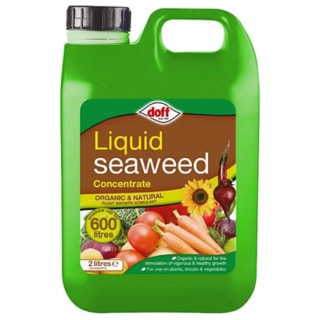 407918-doff-liquid-seaweed-2l