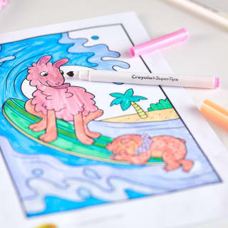 408223-crayola-super-tips-pastel-20markers