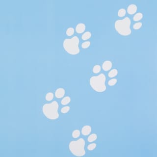 408240-dog-placemat-blue-2
