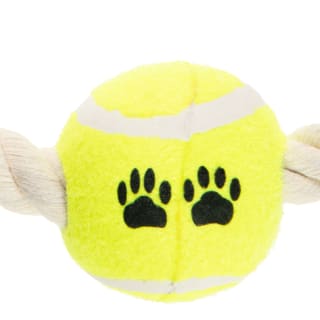 409519-rope-ring-and-tennis-ball-3