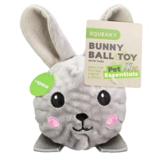 409530-spueaky-bunny-ball-toy