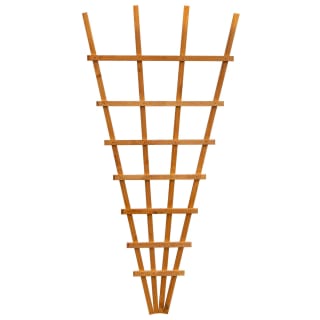 410118-fan-trellis-1_83m