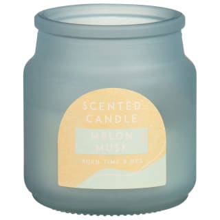 Mini Frosted Candle - Melon Musk