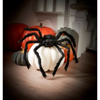 Halloween Nights XL Spider