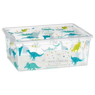 Simply Kids Printed Storage Box 11L - Dinosaur