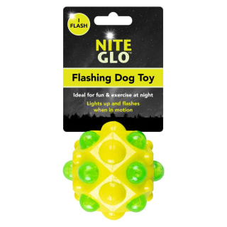 Nite Glo Flashing Dog Toy - Ball