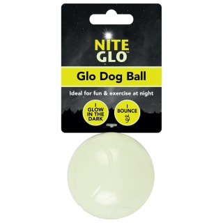 411506-glow-in-the-dark-ball