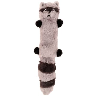 411872-flattie-squeaker-racoon