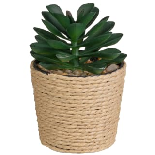 Mini Succulent in Rattan Pot - Natural
