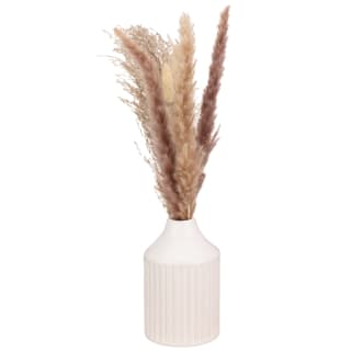 411922-ribbed-vase-with-pampas