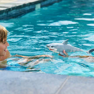 412915-zuru-robo-alive-great-white-shark-6