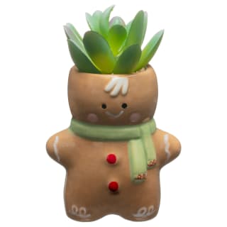413340-christmas-succulents-gingerbread