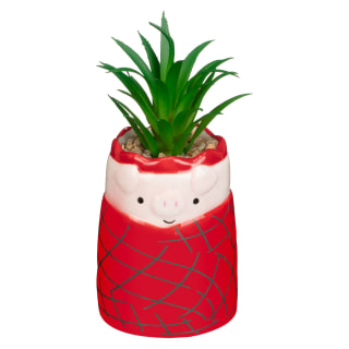 413340-christmas-succulents-pigs-in-blankets