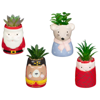 413340-christmas-succulents