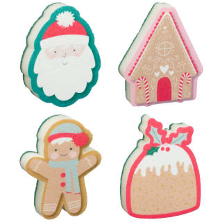 413441-festive-printed-sponge-group1