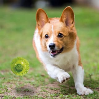 414093-2pack-flashing-balls