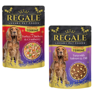 414599-regale-festive-terrine-100g-group