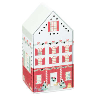 414910-light-up-house-with-vanilla-cookies