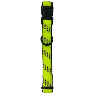 415061-reflective-neon-collar-medium