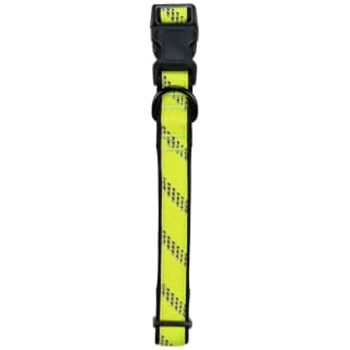 415062-reflective-neon-collar-large-2