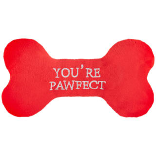 Valentine's Day Bone Plush Dog Toy - You're Pawfect