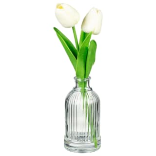415907-tulips-in-glass-vase-white