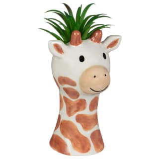 415916-succulent-giraffe-2