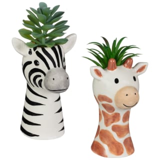 415916-succulent-giraffe