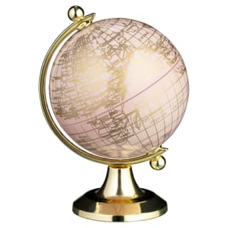 416069-globe-ornament-pink
