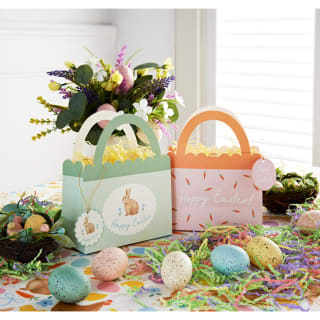 416092-2pk-treat-box-with-tissue-and-cellophane