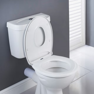 417201-family-toilet-seat