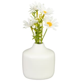 Daisies in Cream Pot