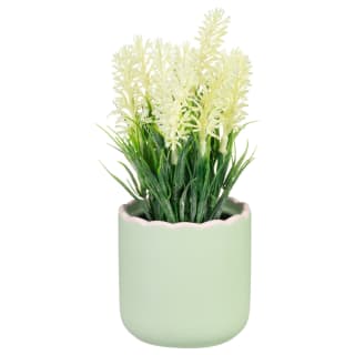 Flowers in Scalloped Edge Two Tone Pot - Green