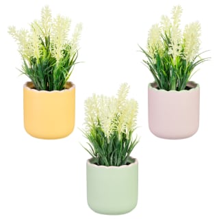 417391-flowers-in-scalloped-edge-two-tone-pot-group