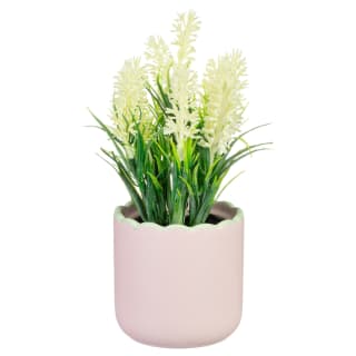 Flowers in Scalloped Edge Two Tone Pot - Pink