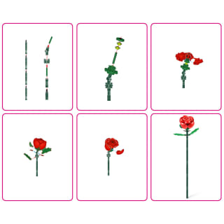 417420-zuru-max-rose-colection-3