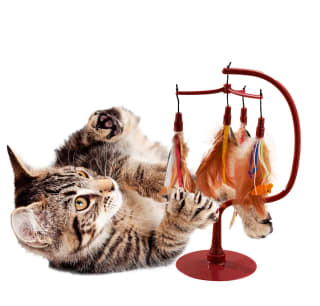 417425-spinning-fetaher-toy-2