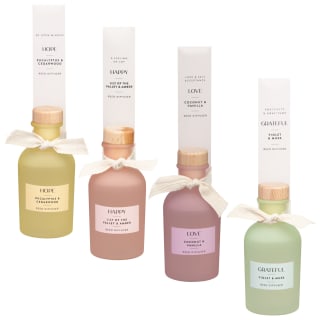 417974-100ml-diffuser-group