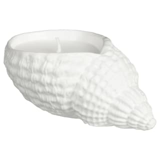 Conch Shell Candle