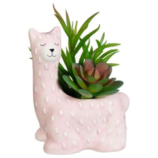 Succulent in Llama Pot - Pink