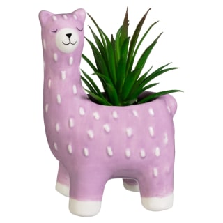 Succulent in Llama Pot - Purple